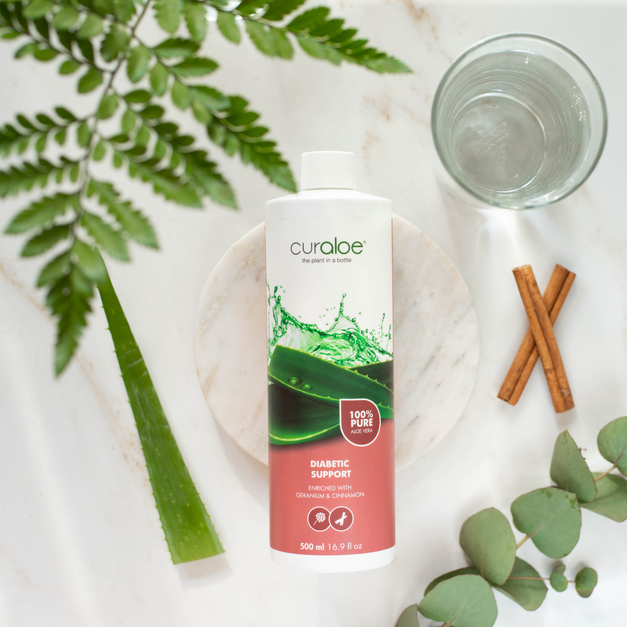 Herbal blend in Curaloe Diabetic Supplement supports healthy blood sugar levels
