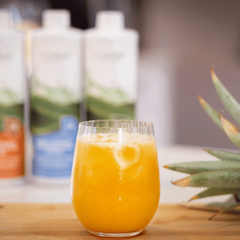 Natural Herbal Infusion Diabetic Support - Detoxifies and Promotes Circulation