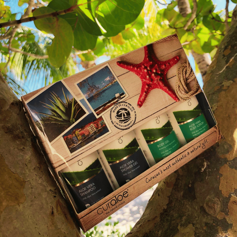 Aloe Vera Body Lotion 80% in Curaloe Curacao Souvenir Box for soft and firm skin