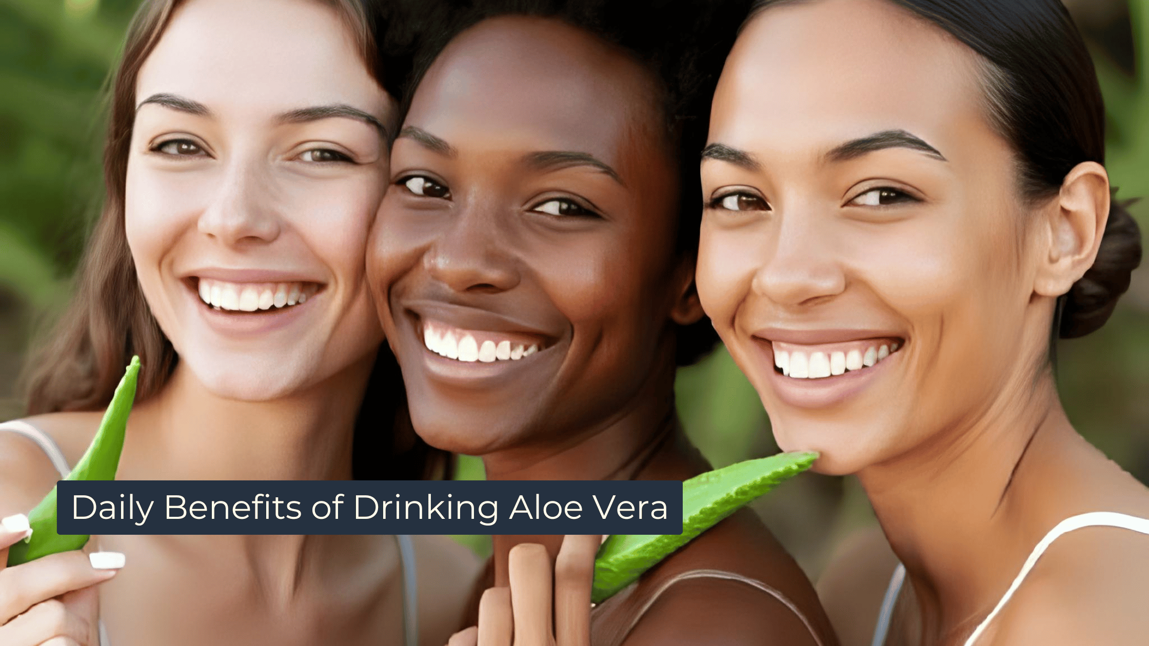 Daily Aloe Vera: Benefits, Risks & What to Expect