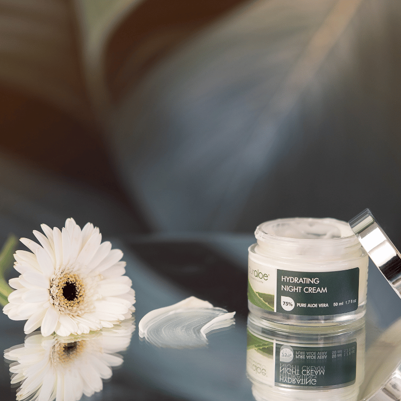 Hauterneuernde Nachtcreme – 70 % Aloe Vera